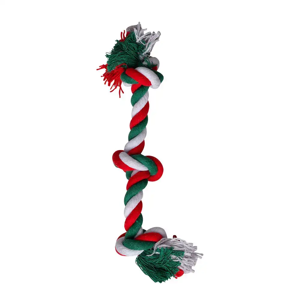 Jouet pour chien hearts homies 20 cm _7769. DIAYTAR COTE D'IVOIRE - Votre Destination Shopping Inspirante. Explorez notre catalogue pour trouver des articles qui stimulent votre créativité et votre style de vie.