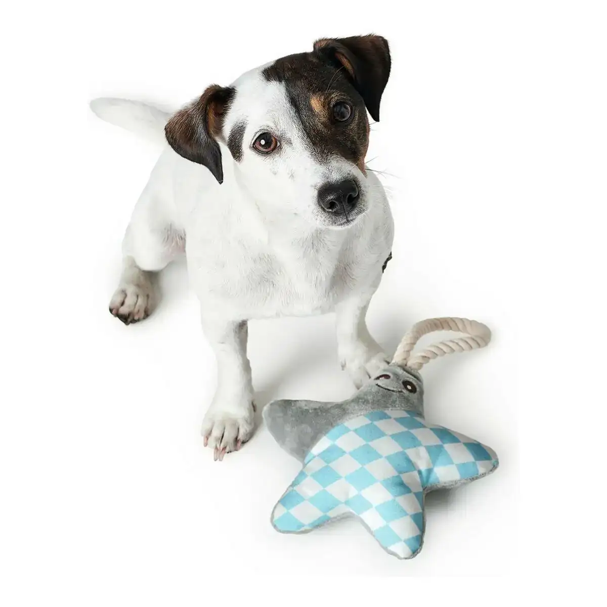 Jouet pour chien hunter salima avec corde etoile de mer gris chiots_5309. DIAYTAR COTE D'IVOIRE - Votre Univers Shopping Éclectique. Explorez nos offres variées et découvrez des articles qui embrassent la diversité et la polyvalence de vos besoins.
