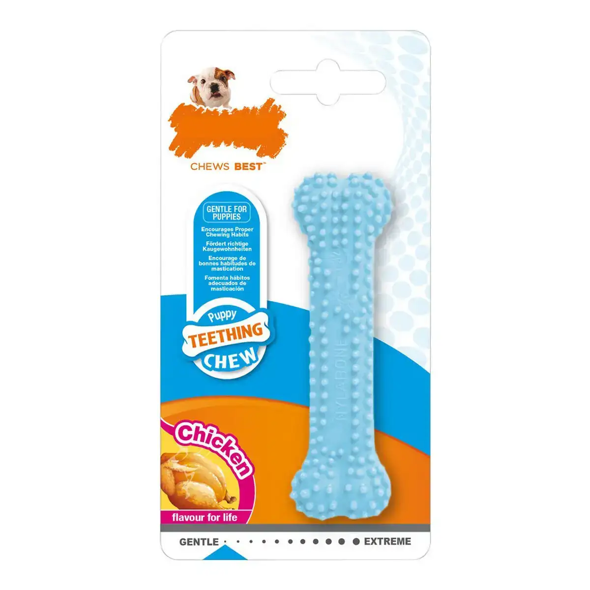 Jouet pour chien nylabone bleu poulet blue thermoplastique taille xs chiots_1728. DIAYTAR COTE D'IVOIRE - L'Art de Choisir, l'Art de S'émerveiller. Explorez notre boutique en ligne et choisissez des articles qui éveillent votre sens de l'émerveillement.