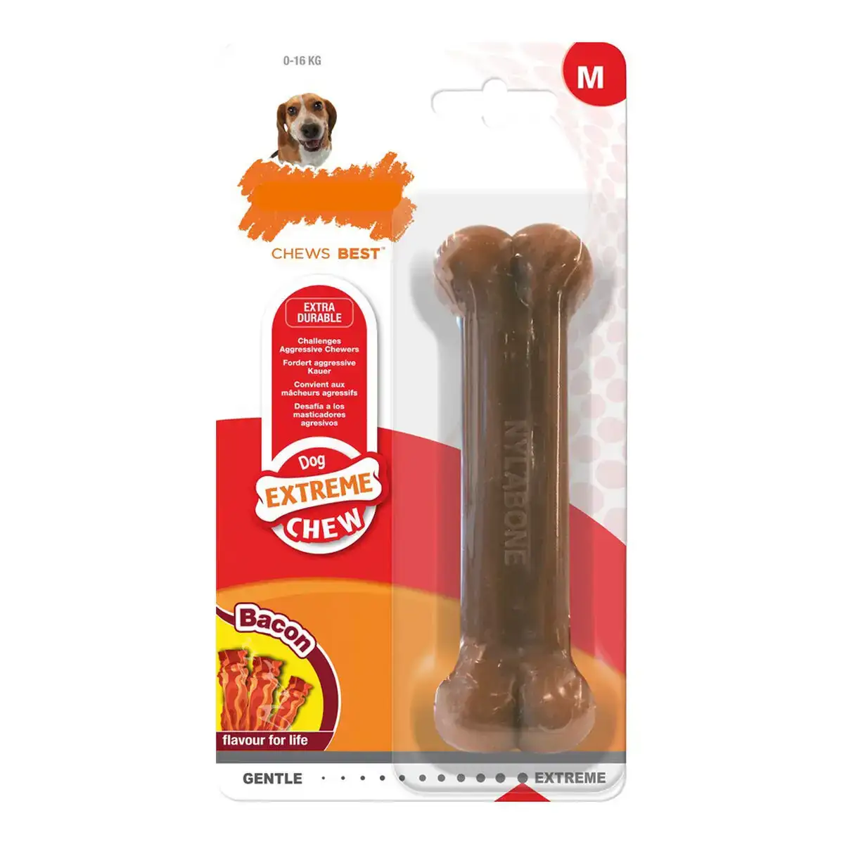 Jouet pour chien nylabone dura chew bacon taille m nylon_2111. Bienvenue chez DIAYTAR COTE D'IVOIRE - Où Chaque Article Est une Découverte. Naviguez à travers nos offres et laissez-vous surprendre par des trésors cachés qui enrichiront votre vie.