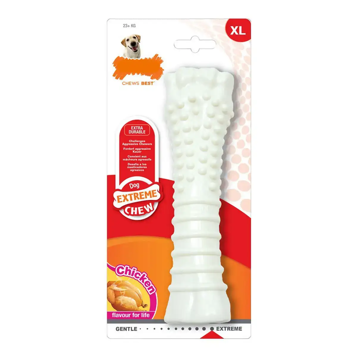 Jouet pour chien nylabone dura chew texturise poulet nylon_3298. DIAYTAR COTE D'IVOIRE - Où Chaque Produit a son Histoire à Raconter. Parcourez notre catalogue et découvrez des articles qui portent en eux la passion et l'histoire du Côte d'Ivoire.