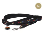 Laisse pour chien disney noir_3071. DIAYTAR COTE D'IVOIRE - Où Choisir Devient une Expérience Personnalisée. Explorez notre boutique en ligne pour découvrir des produits qui s'adaptent à votre style et à votre essence.
