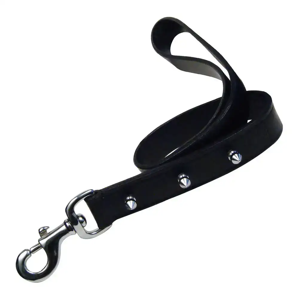 Laisse pour chien gloria noir 60 cm_8075. DIAYTAR COTE D'IVOIRE - L'Art de Vivre en Couleurs et en Styles. Parcourez notre sélection et trouvez des articles qui reflètent votre personnalité et votre goût pour la vie.