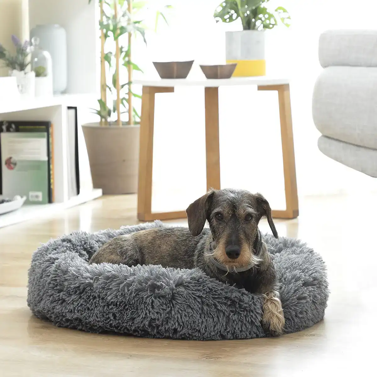 Lit pour animaux de compagnie antistress bepess innovagoods o 60 cm_2184. Bienvenue chez DIAYTAR COTE D'IVOIRE - Où le Shopping Devient un Voyage. Explorez notre plateforme pour dénicher des produits uniques, racontant l'histoire et l'âme du Côte d'Ivoire.