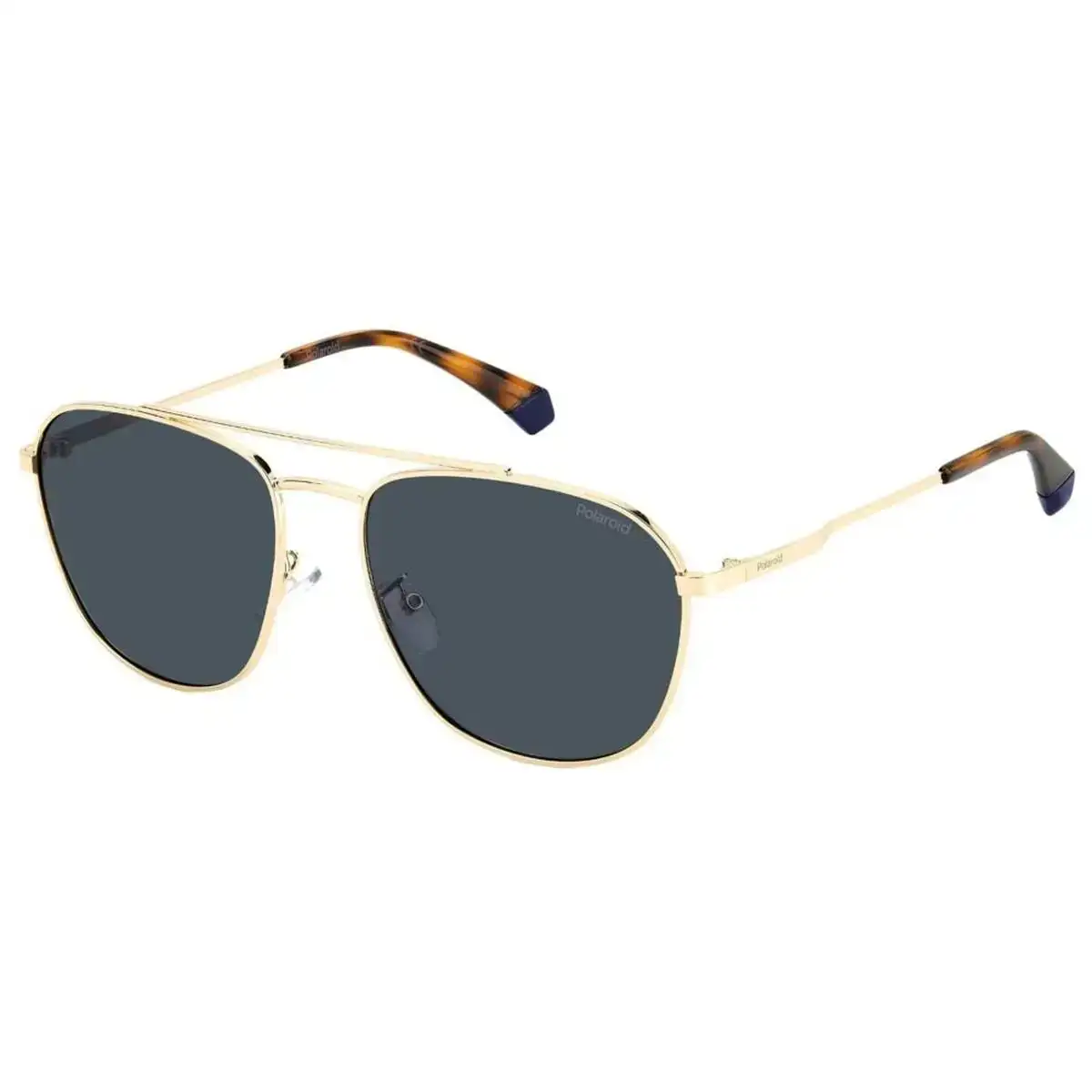 Lunettes de soleil homme polaroid pld 4127 g s j5g c3_9731. DIAYTAR COTE D'IVOIRE - Où Choisir est un Plaisir Responsable. Parcourez notre catalogue et choisissez des produits qui incarnent notre engagement envers des pratiques durables et éthiques.