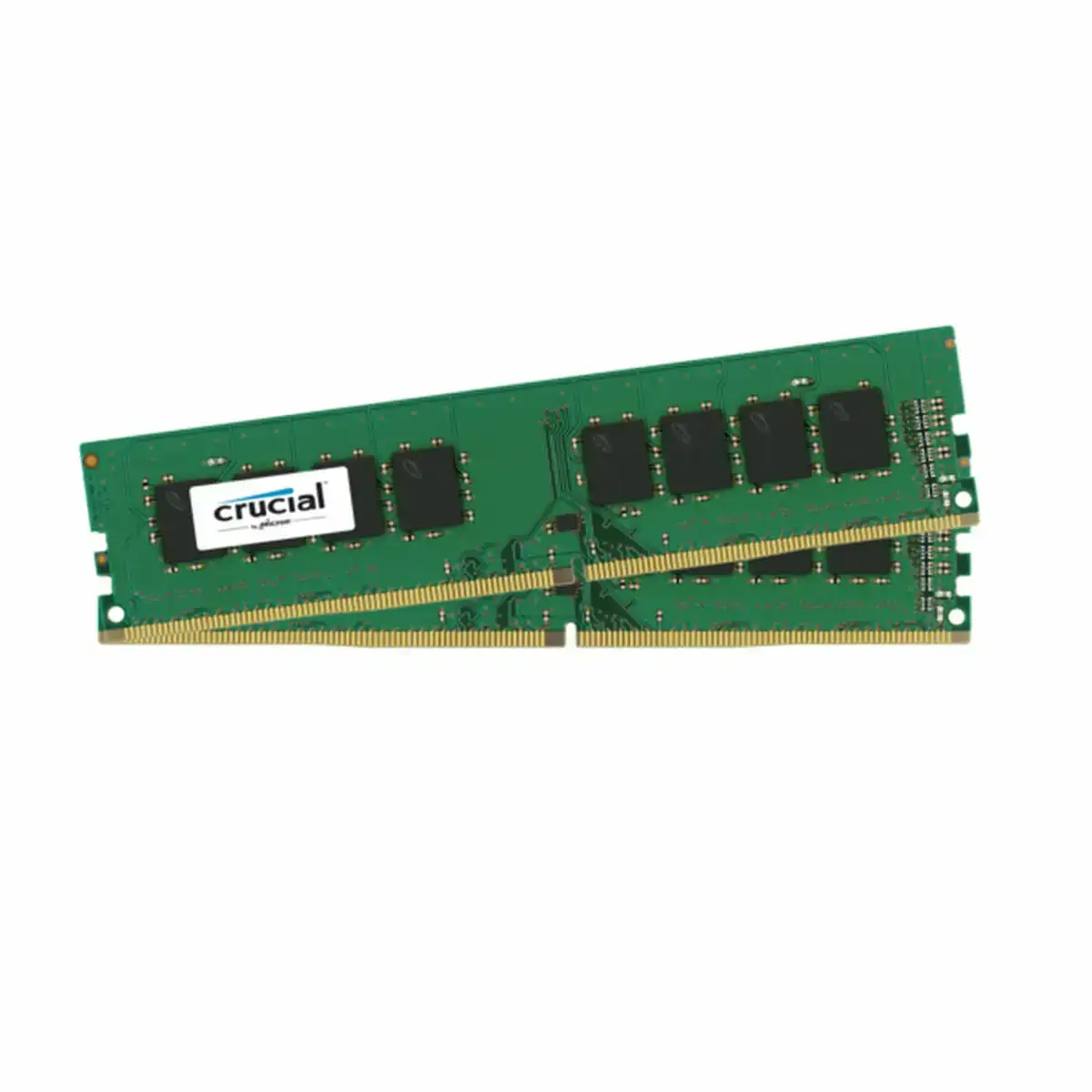 Memoire ram crucial ct2k8g4dfs824a ddr4 16 gb_8476. DIAYTAR COTE D'IVOIRE - Où Choisir est un Voyage Cultuel. Explorez notre boutique en ligne et découvrez des produits qui célèbrent la richesse et la diversité culturelle du Côte d'Ivoire.