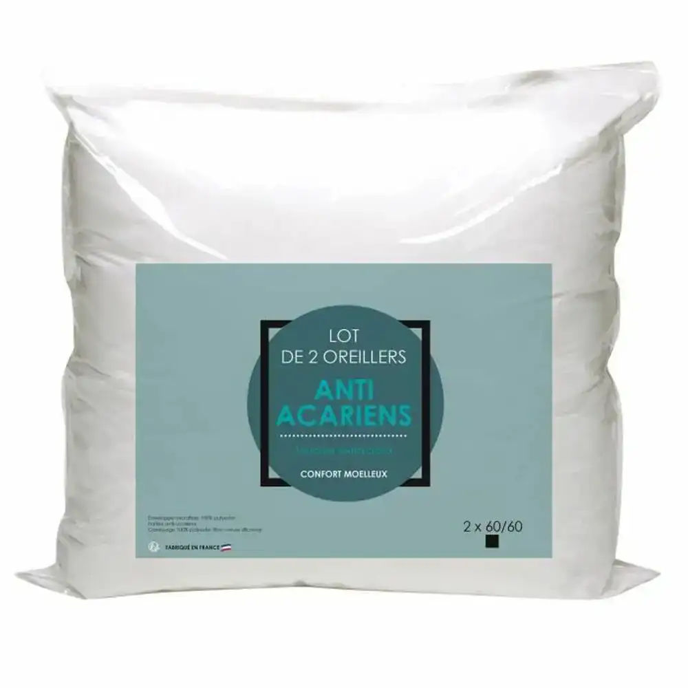 Oreiller 60 x 60 cm 2 unites _4318. DIAYTAR COTE D'IVOIRE - Là où Chaque Produit est une Trouvaille Unique. Découvrez notre boutique en ligne et trouvez des articles qui vous distinguent par leur originalité.