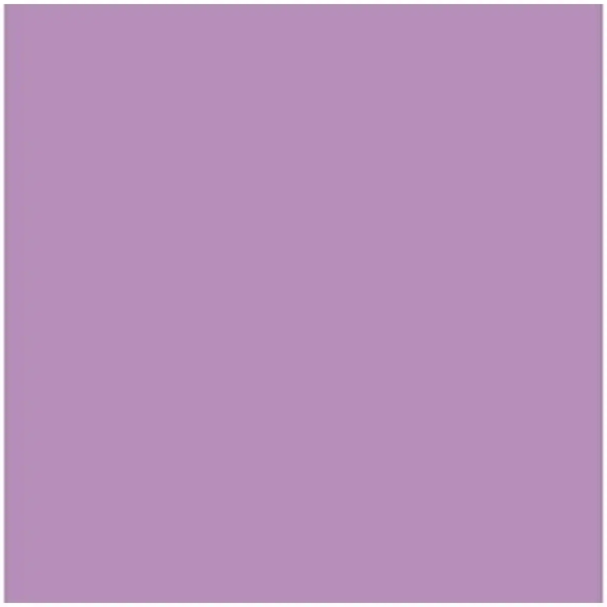 Papier carton iris mauve 50 x 65 cm 25 unites _1141. DIAYTAR COTE D'IVOIRE - Où Choisir Rime avec Qualité. Découvrez notre sélection soigneusement conçue et choisissez des articles qui incarnent l'excellence et l'innovation.