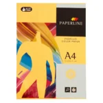Papier fabrisa orange fluorescent 500 volets din a4_9276. DIAYTAR COTE D'IVOIRE - Votre Escale Shopping incontournable. Explorez notre boutique en ligne et dénichez des trésors qui reflètent la richesse culturelle et la modernité du Côte d'Ivoire.