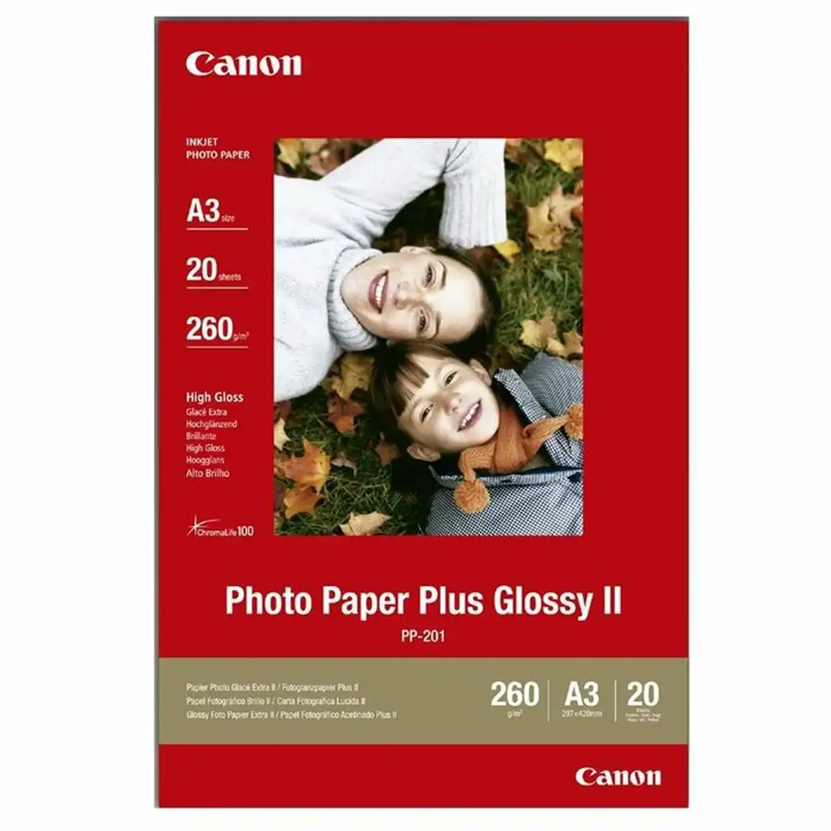 Papier photo glace canon plus glossy ii a3_2666. Bienvenue chez DIAYTAR COTE D'IVOIRE - Où le Shopping Devient un Voyage. Explorez notre plateforme pour dénicher des produits uniques, racontant l'histoire et l'âme du Côte d'Ivoire.