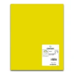 Papiers carton iris jaune 50 x 65 cm 25 unites _1375. Bienvenue sur DIAYTAR COTE D'IVOIRE - Où l'Authenticité Rencontre le Confort. Plongez dans notre univers de produits qui allient tradition et commodité pour répondre à vos besoins.