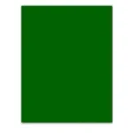Papiers carton iris vert 185 g 50 x 65 cm 25 unites _1577. DIAYTAR COTE D'IVOIRE - L'Art de Vivre le Shopping Éthique. Parcourez notre gamme et choisissez des produits qui reflètent notre engagement envers des pratiques durables.