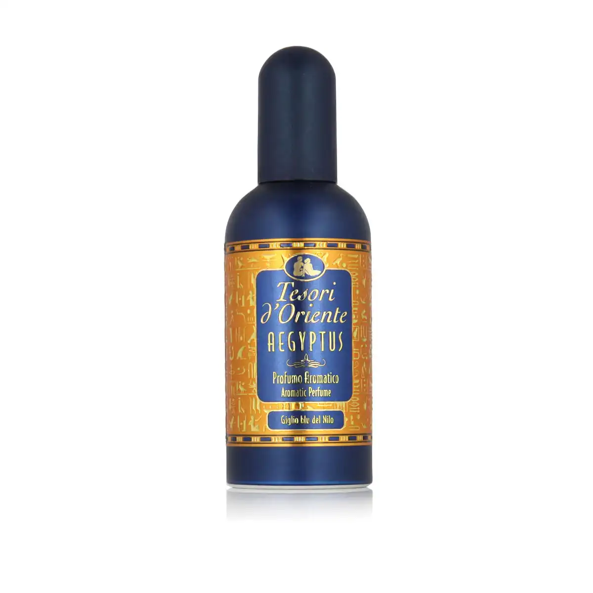 Parfum femme tesori d oriente edp aegyptus 100 ml_2651. Découvrez DIAYTAR COTE D'IVOIRE - Votre Source de Produits Variés et un Service Exceptionnel. Parcourez nos catégories et bénéficiez d'un service client dévoué, prêt à vous guider à chaque étape.