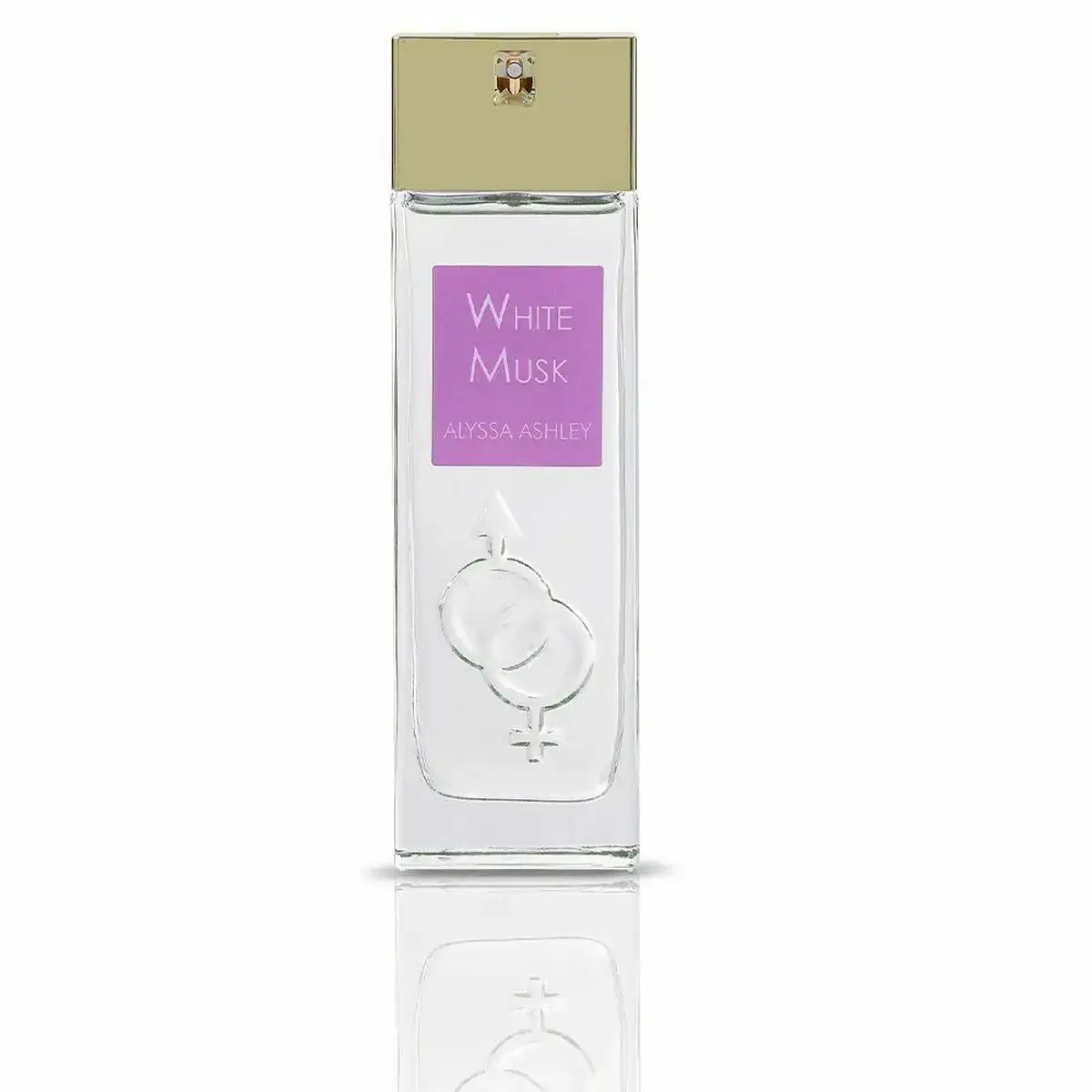 Parfum unisexe alyssa ashley white musk edp white musk 100 ml_3423. DIAYTAR COTE D'IVOIRE - Où Choisir est un Plaisir. Explorez notre boutique en ligne et choisissez parmi des produits de qualité qui satisferont vos besoins et vos goûts.