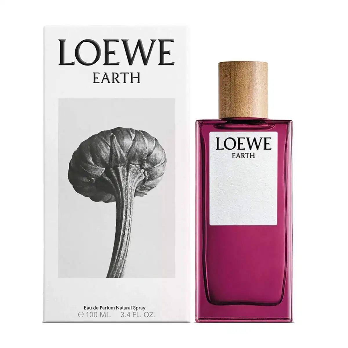 Parfum unisexe loewe edp 100 ml earth_9847. DIAYTAR COTE D'IVOIRE - L'Art de Magasiner sans Limites. Naviguez à travers notre collection diversifiée pour trouver des produits qui élargiront vos horizons shopping.