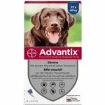 Pipette pour chien advantix 25 40 kg_9607. DIAYTAR COTE D'IVOIRE - Votre Plateforme Shopping Engagée. Explorez notre catalogue et choisissez des produits qui reflètent notre dévouement envers la qualité et la satisfaction du client.