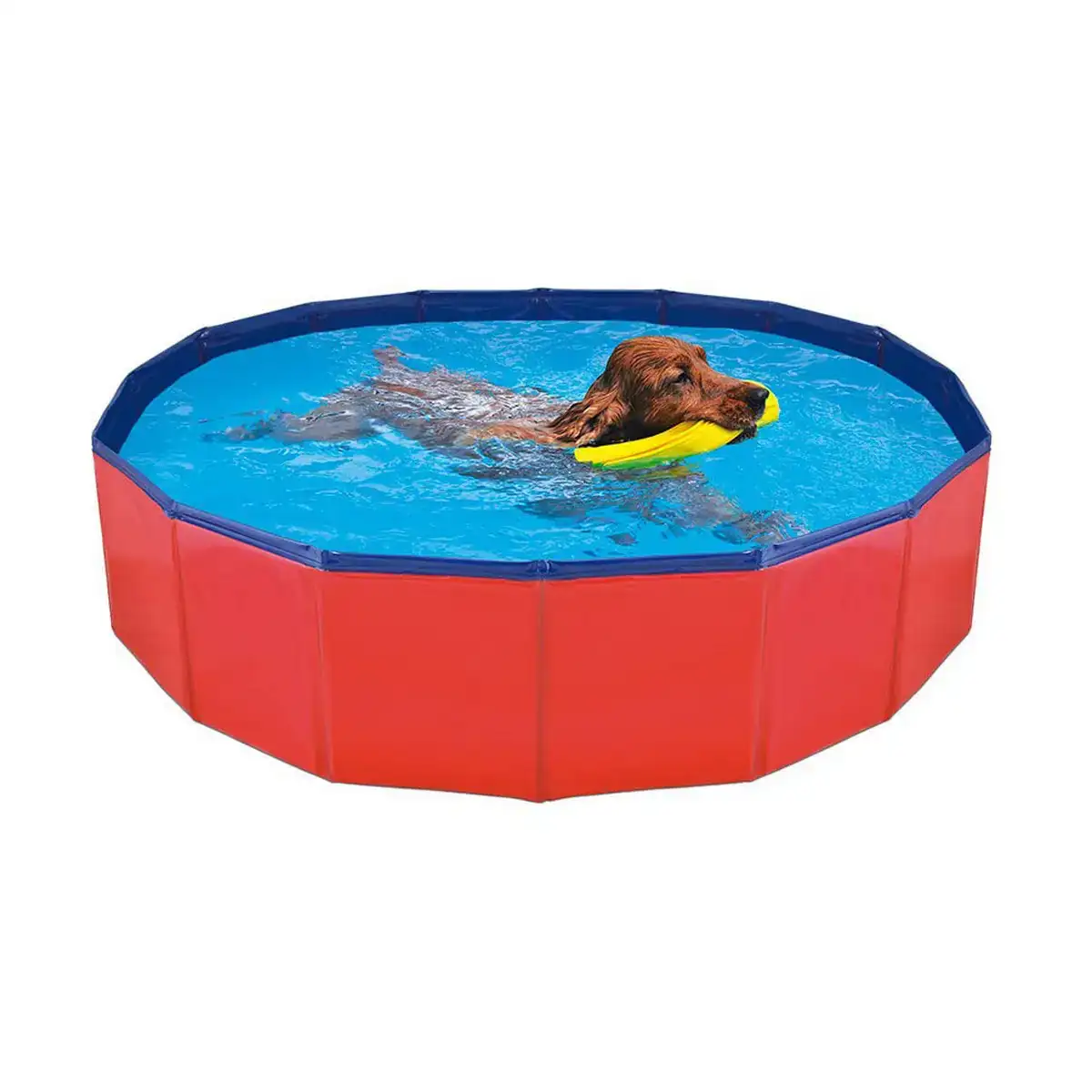 Piscine demontable nayeco chien_1820. DIAYTAR COTE D'IVOIRE - Là où la Diversité Rencontre la Qualité. Parcourez notre gamme complète et trouvez des produits qui incarnent la richesse et l'unicité du Côte d'Ivoire.