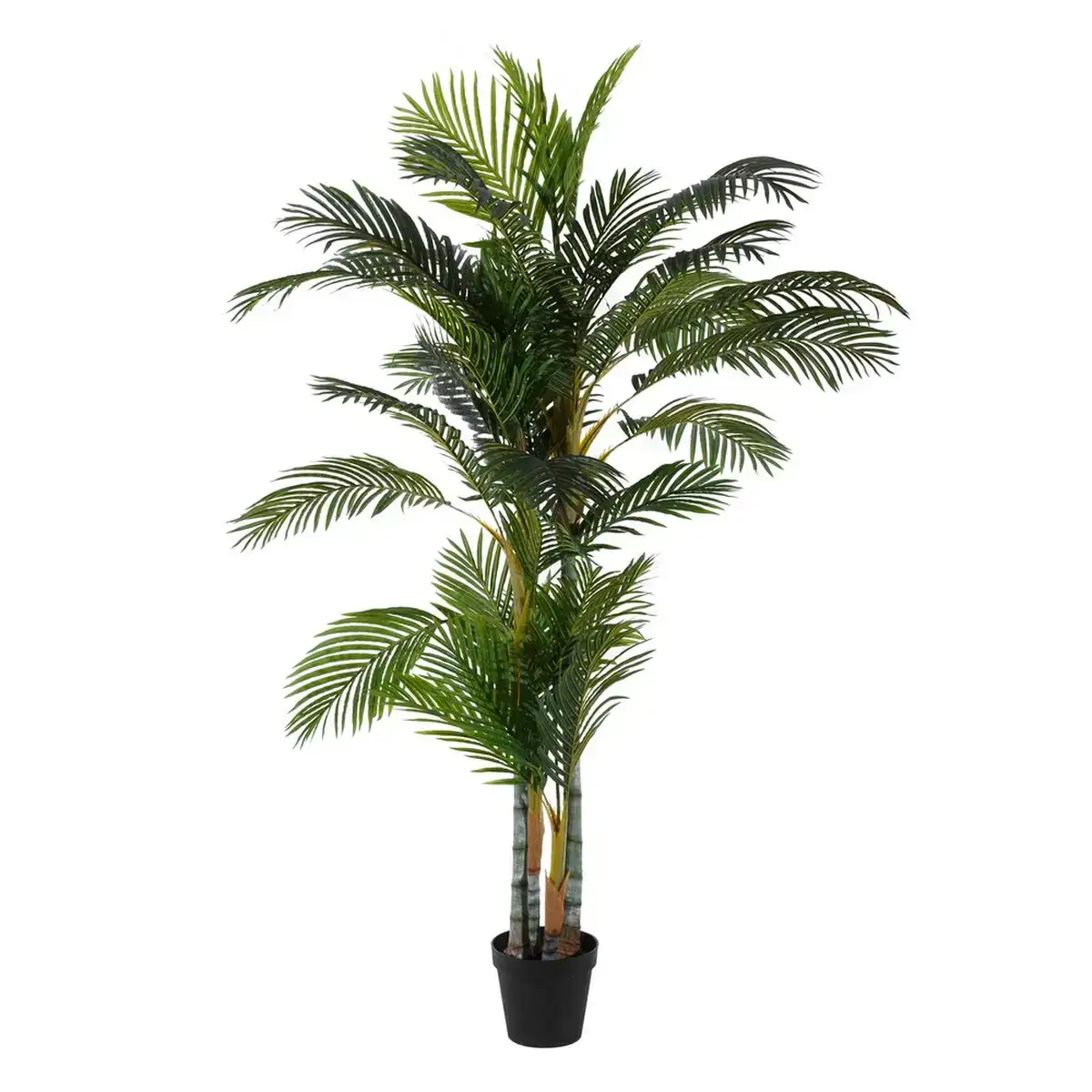 Plante decorative 100 x 130 x 210 cm vert pvc palmier_7064. DIAYTAR COTE D'IVOIRE - Votre Boutique en Ligne, Votre Choix Illimité. Parcourez nos rayons et découvrez des produits qui vous inspirent, de la mode à la maison et bien plus.