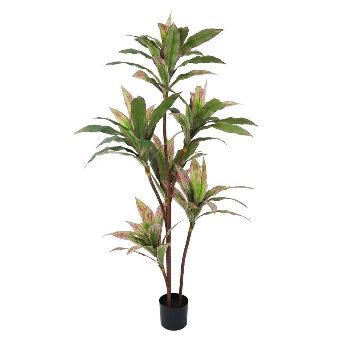 Plante decorative 160 cm dracaena vert_1650. DIAYTAR COTE D'IVOIRE - Où Choisir est un Plaisir Responsable. Explorez notre boutique en ligne et adoptez des produits qui reflètent notre engagement envers la durabilité.