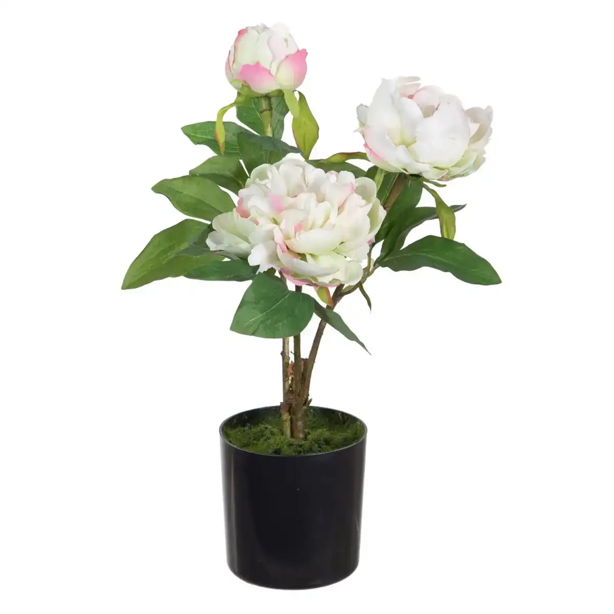 Plante decorative 24 x 20 x 38 cm creme pivoine_6151. DIAYTAR COTE D'IVOIRE - Où le Shopping est un Plaisir Engagé. Parcourez notre catalogue et choisissez des produits qui respectent vos valeurs et vos attentes.