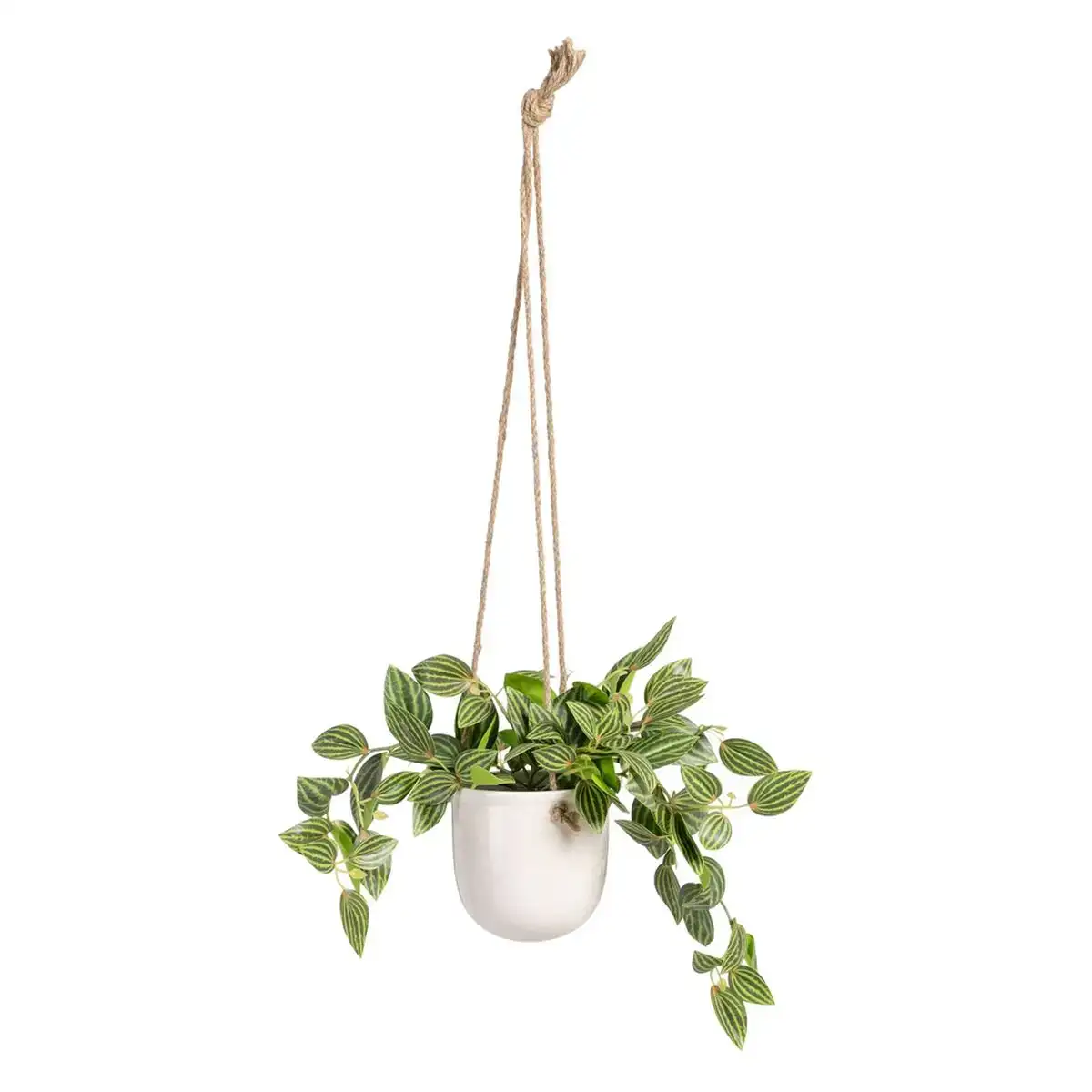 Plante decorative 33 x 33 x 24 cm blanc vert pvc_7297. Bienvenue chez DIAYTAR COTE D'IVOIRE - Où le Shopping Devient un Voyage. Explorez notre plateforme pour dénicher des produits uniques, racontant l'histoire et l'âme du Côte d'Ivoire.