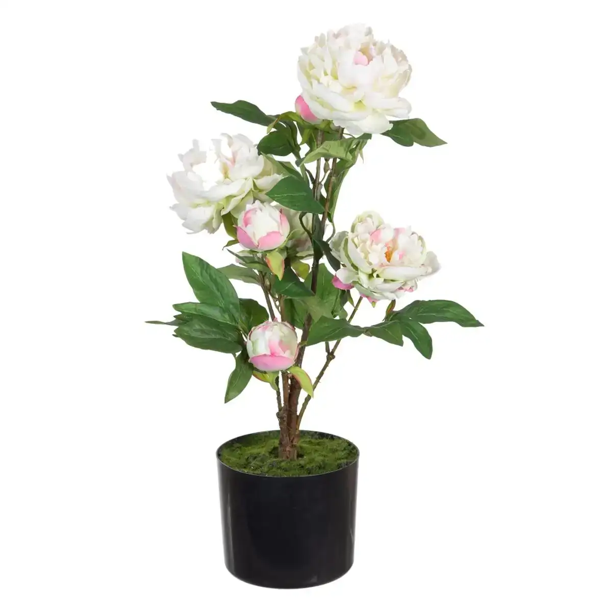 Plante decorative 34 x 30 x 59 cm creme pivoine_7855. Bienvenue chez DIAYTAR COTE D'IVOIRE - Là où les Désirs Prendent Vie. Explorez notre boutique en ligne et laissez-vous séduire par des articles qui font écho à vos aspirations et à votre style unique.