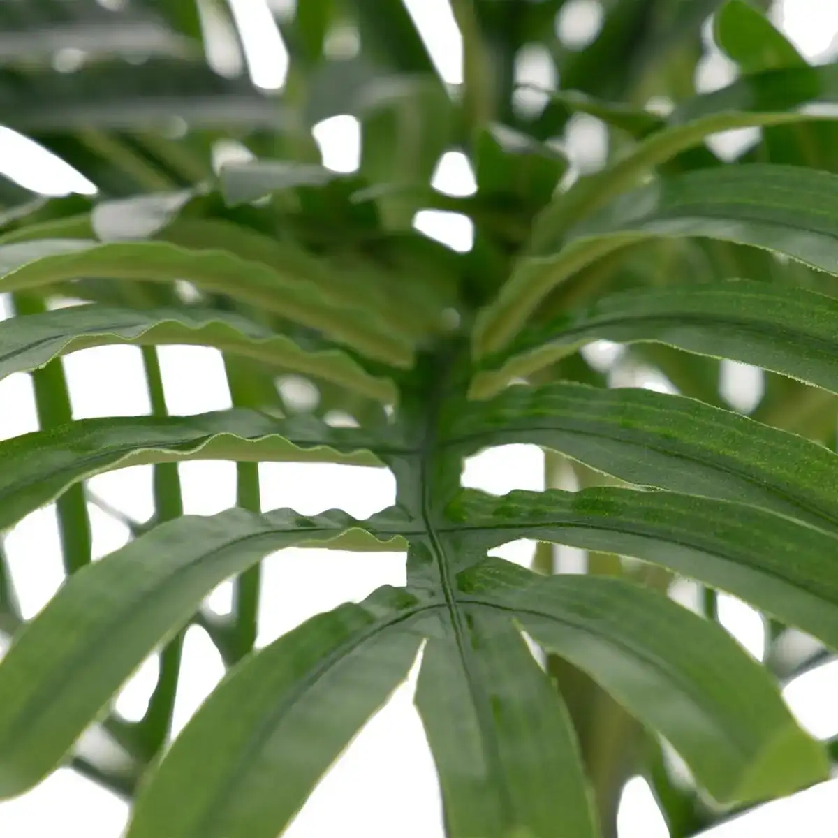 Plante decorative 35 x 35 x 55 cm vert_8798. Bienvenue chez DIAYTAR COTE D'IVOIRE - Où Chaque Objet a sa Propre Histoire. Découvrez notre sélection soigneusement choisie et choisissez des produits qui racontent le patrimoine sénégalais.