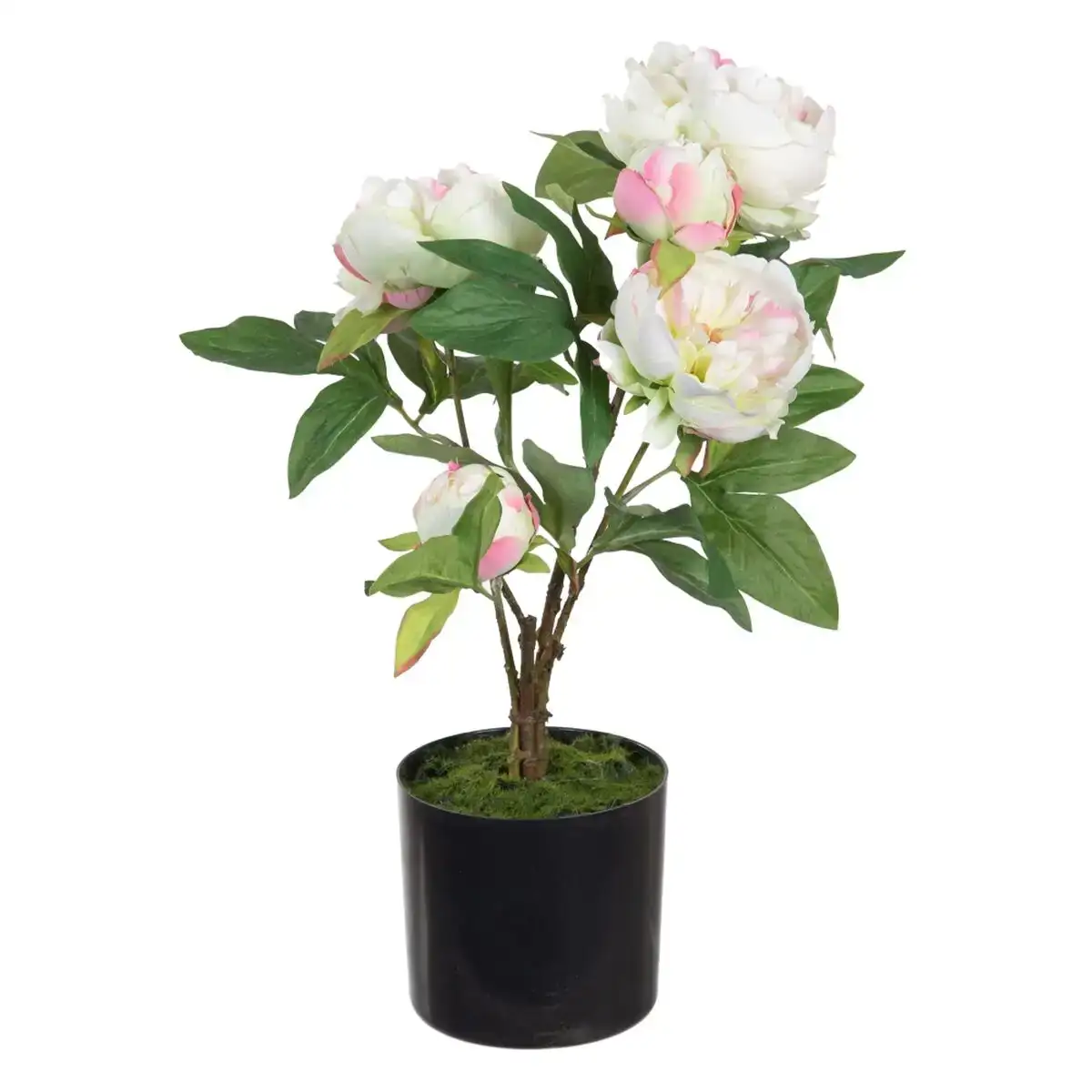 Plante decorative 36 x 30 x 44 cm creme pivoine_9256. DIAYTAR COTE D'IVOIRE - Où la Tradition s'Harmonise avec le Moderne. Parcourez notre gamme diversifiée et choisissez des produits qui révèlent l'âme du Côte d'Ivoire.