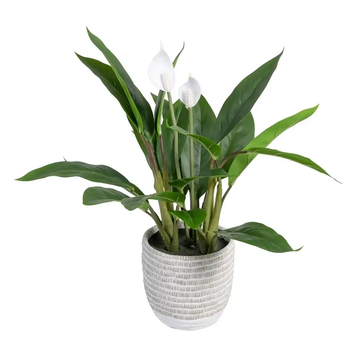 Plante decorative 40 x 41 x 48 cm vert pvc_5720. DIAYTAR COTE D'IVOIRE - Votre Source de Découvertes Shopping. Naviguez à travers nos catégories et découvrez des articles qui vous surprendront et vous séduiront.