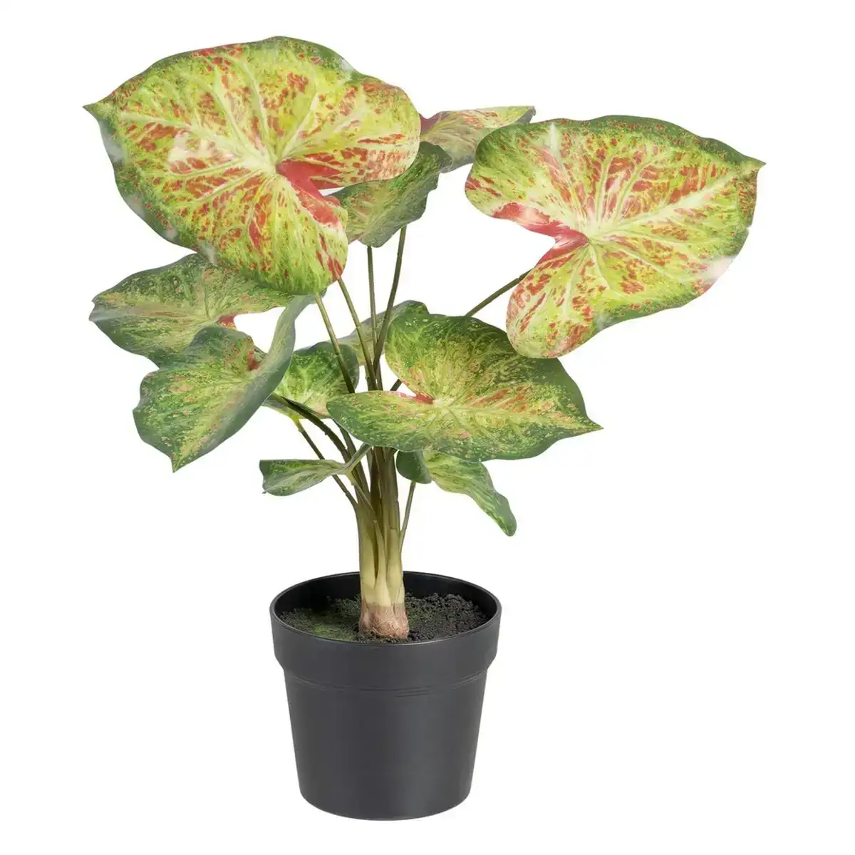 Plante decorative 48 x 46 x 55 cm rouge vert pvc_7841. DIAYTAR COTE D'IVOIRE - L'Art de Vivre le Shopping Inspiré. Parcourez notre catalogue et choisissez des produits qui reflètent votre passion pour la beauté et l'authenticité.