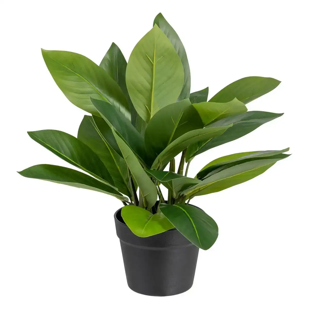 Plante decorative 50 x 45 x 48 cm vert pvc_9127. DIAYTAR COTE D'IVOIRE - Votre Source d'Inspiration Shopping. Parcourez nos rayons et trouvez des articles qui vous inspirent, que ce soit pour votre style, votre maison ou votre vie quotidienne.