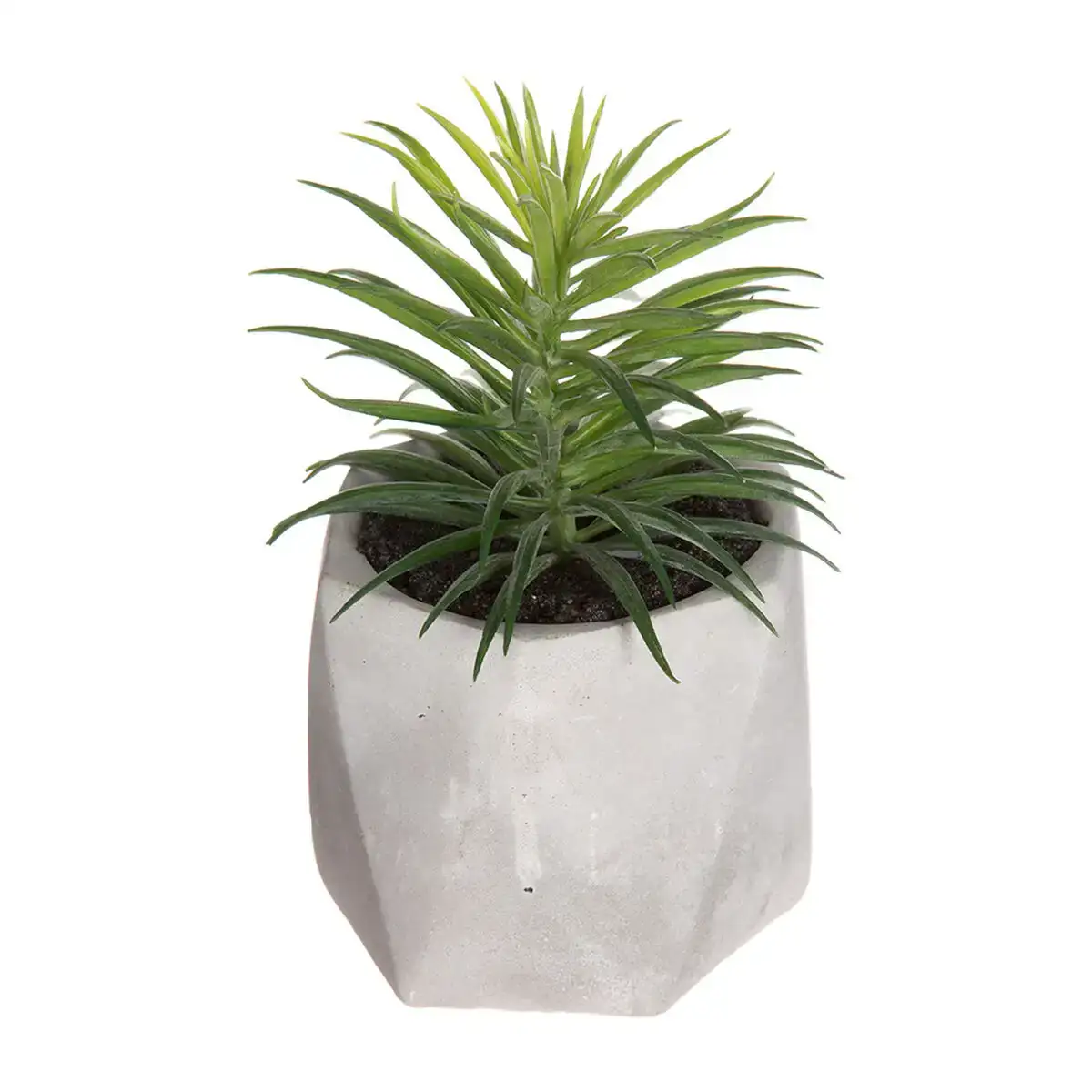 Plante decorative atmosphera 7 x 14 cm vert pvc_8903. Entrez dans l'Univers de DIAYTAR COTE D'IVOIRE - Où Choisir est un Voyage. Explorez notre gamme diversifiée et trouvez des articles qui répondent à tous vos besoins et envies.