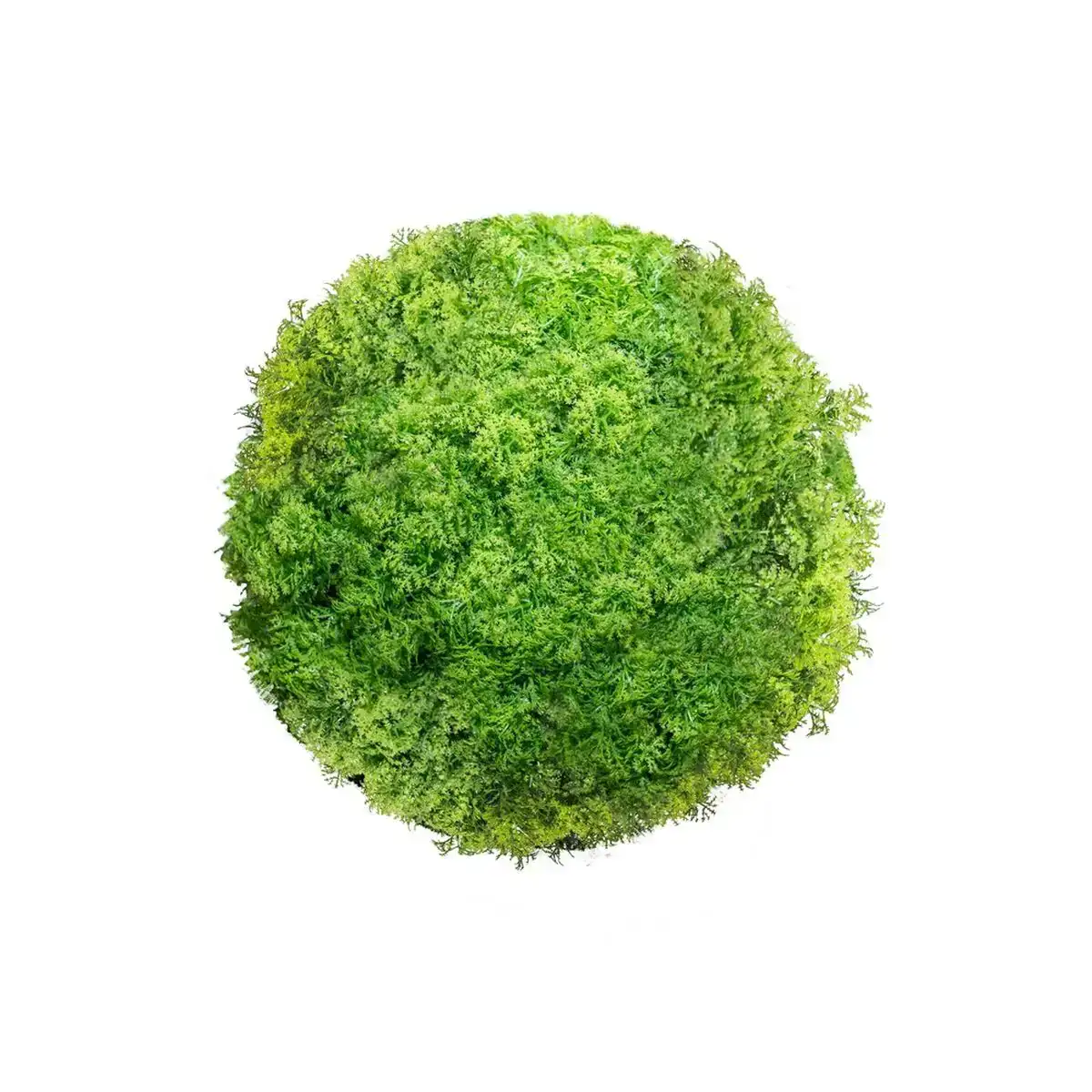 Plante decorative ballon mousse 20 x 20 x 20 cm_5018. DIAYTAR COTE D'IVOIRE - Où Chaque Produit est une Promesse de Qualité. Explorez notre boutique en ligne et choisissez des produits qui répondent à vos exigences élevées.