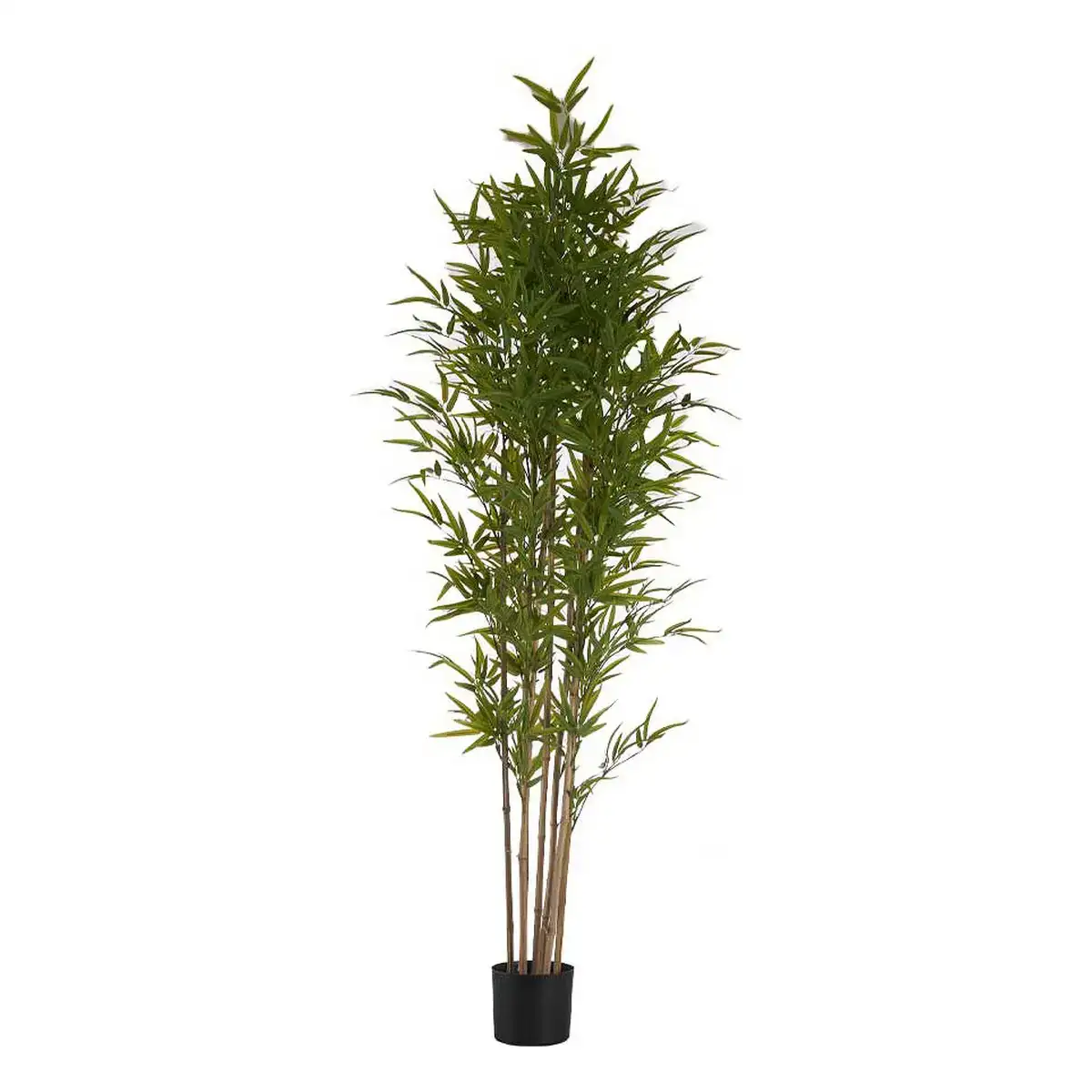Plante decorative bambou vert plastique 80 x 180 x 80 cm _2668. DIAYTAR COTE D'IVOIRE - Où Chaque Détail Compte. Parcourez nos produits soigneusement sélectionnés et choisissez des articles qui correspondent à votre style et à vos valeurs.