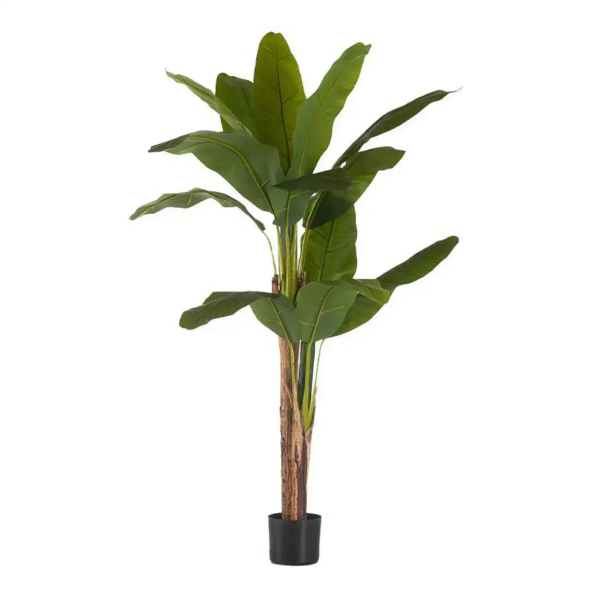 Plante decorative bananiere vert plastique 80 x 150 x 80 cm _5112. DIAYTAR COTE D'IVOIRE - L'Art de Choisir, l'Art de Se Distinquer. Naviguez à travers notre catalogue et choisissez des produits qui ajoutent une note d'élégance à votre style unique.