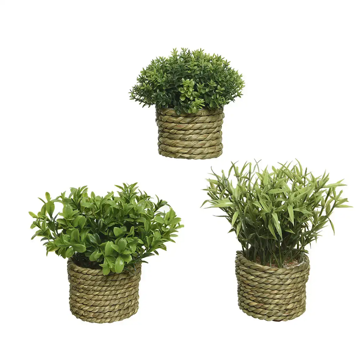 Plante decorative basic home artificielle corde vert 16 x 3 cm_2911. Entrez dans le Monde de DIAYTAR COTE D'IVOIRE - Où Chaque Produit Raconte une Histoire Unique. Explorez notre sélection et laissez-vous transporter par des récits à travers les articles que vous choisissez.