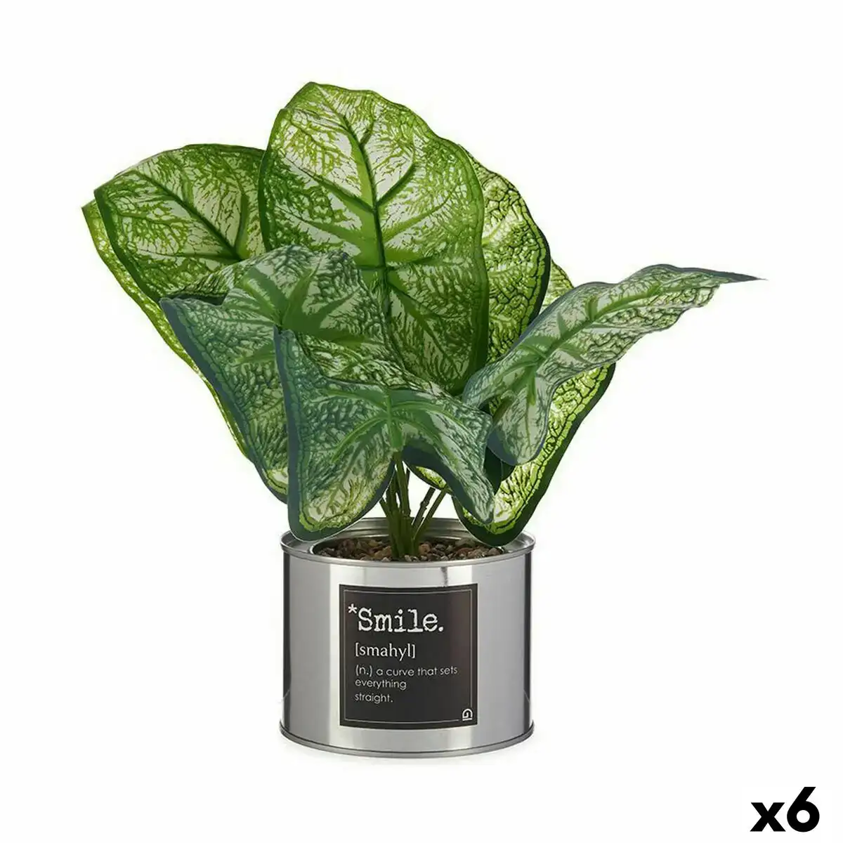 Plante decorative caladium metal plastique 26 x 26 x 26 cm 6 unites _5712. DIAYTAR COTE D'IVOIRE - Votre Destination Shopping pour Tous. Parcourez notre boutique en ligne et découvrez une variété de produits pour satisfaire tous vos besoins et désirs.