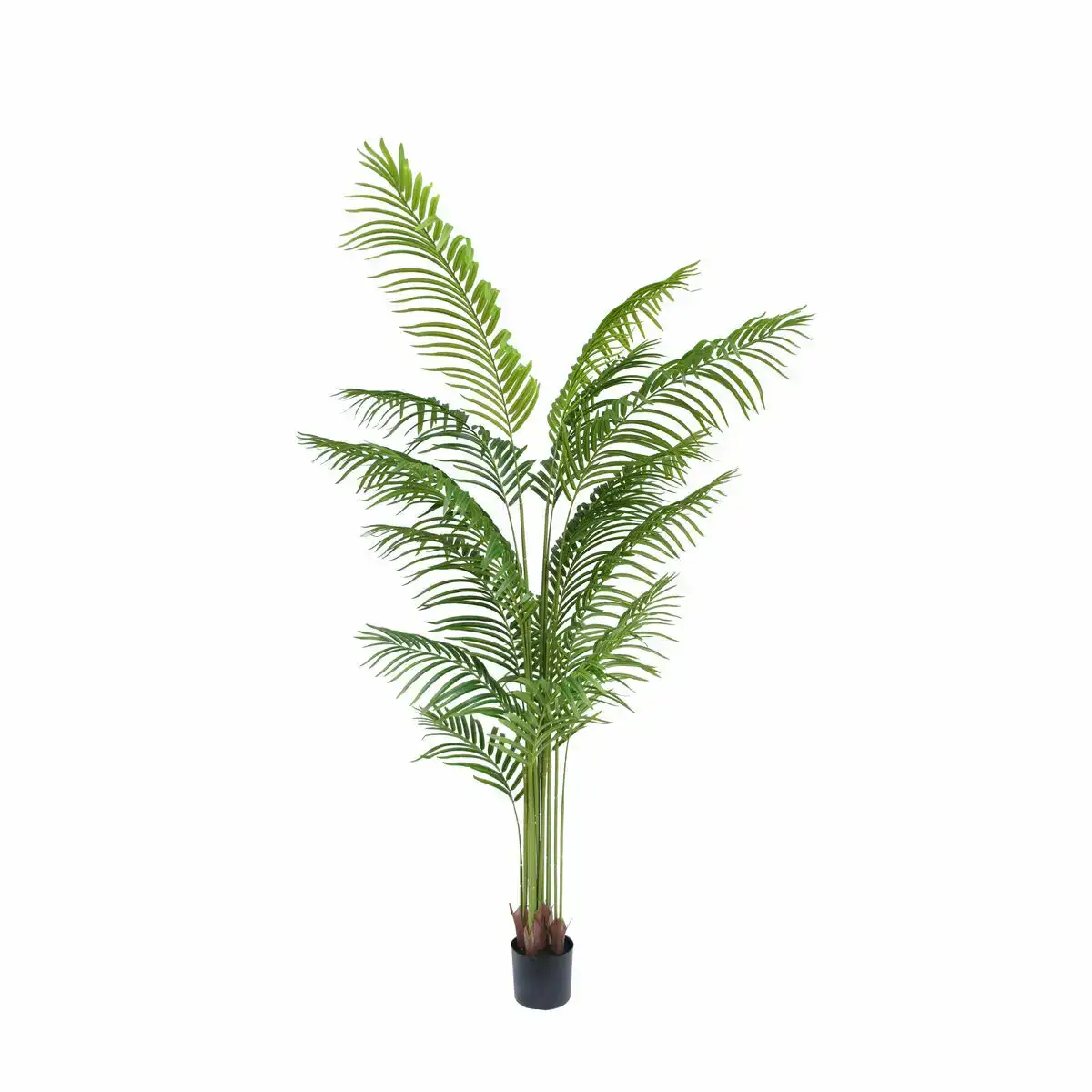 Plante decorative dkd home decor 100 x 100 x 200 cm vert polypropylene tropical palmier_3077. Découvrez DIAYTAR COTE D'IVOIRE - Votre Destination de Shopping Inspirée. Naviguez à travers nos offres variées et trouvez des articles qui reflètent votre personnalité et vos goûts.