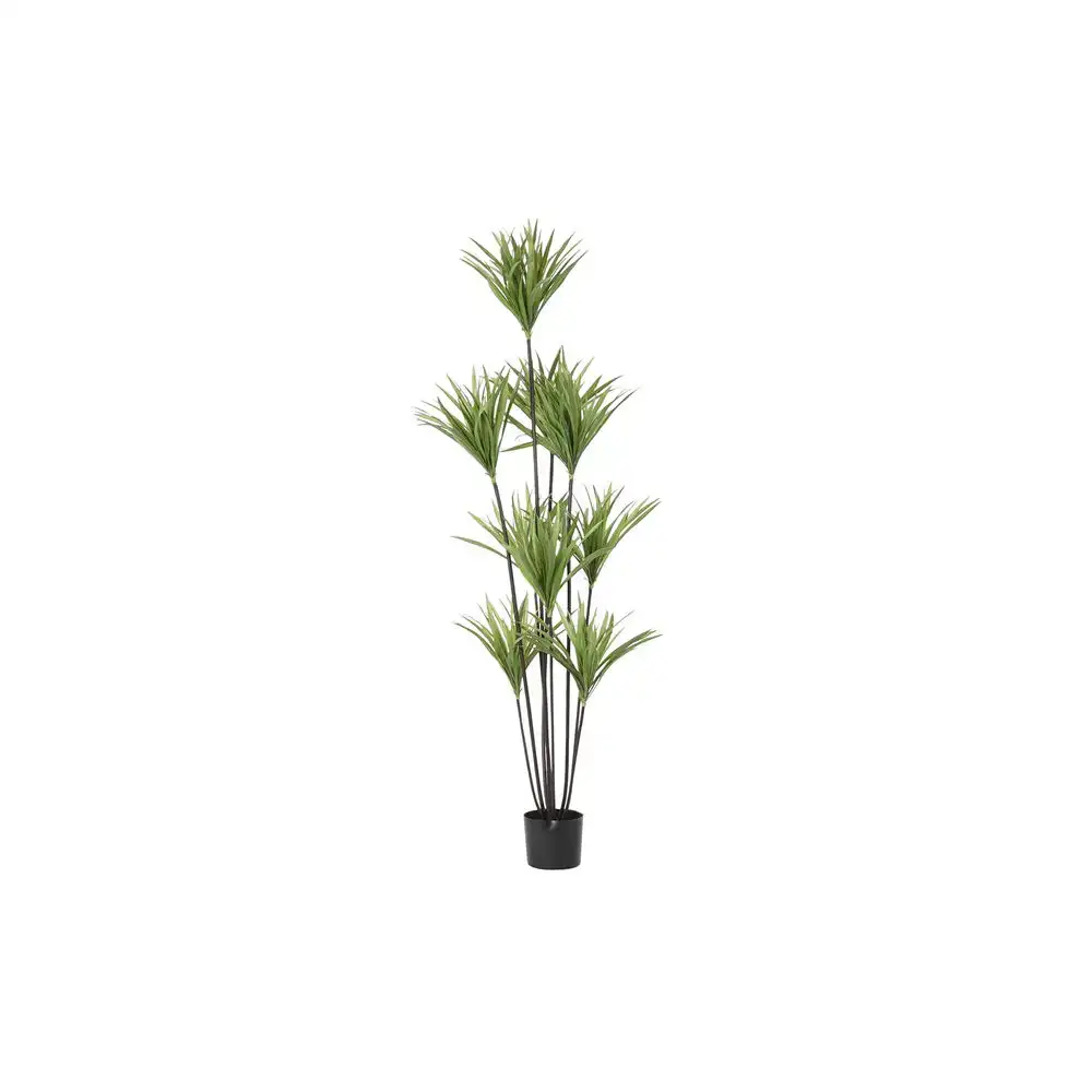 Plante decorative dkd home decor 75 x 75 x 180 cm dracaena marron vert polypropylene_2977. Découvrez DIAYTAR COTE D'IVOIRE - Là où Votre Shopping Prend Vie. Plongez dans notre vaste sélection et trouvez des produits qui ajoutent une touche spéciale à votre quotidien.