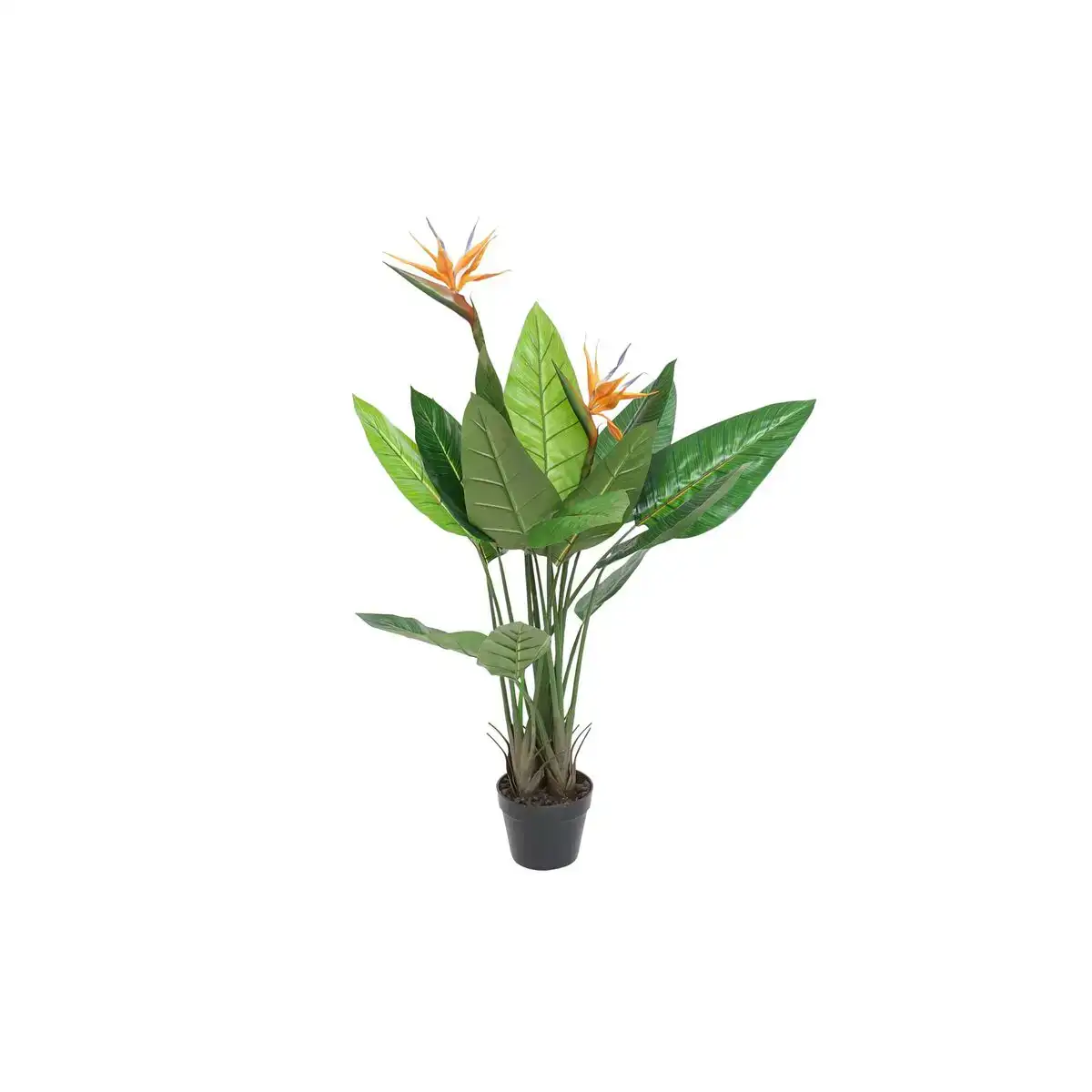 Plante decorative dkd home decor 80 x 80 x 120 cm _2191. Bienvenue chez DIAYTAR COTE D'IVOIRE - Où Choisir est un Voyage. Plongez dans notre plateforme en ligne pour trouver des produits qui ajoutent de la couleur et de la texture à votre quotidien.