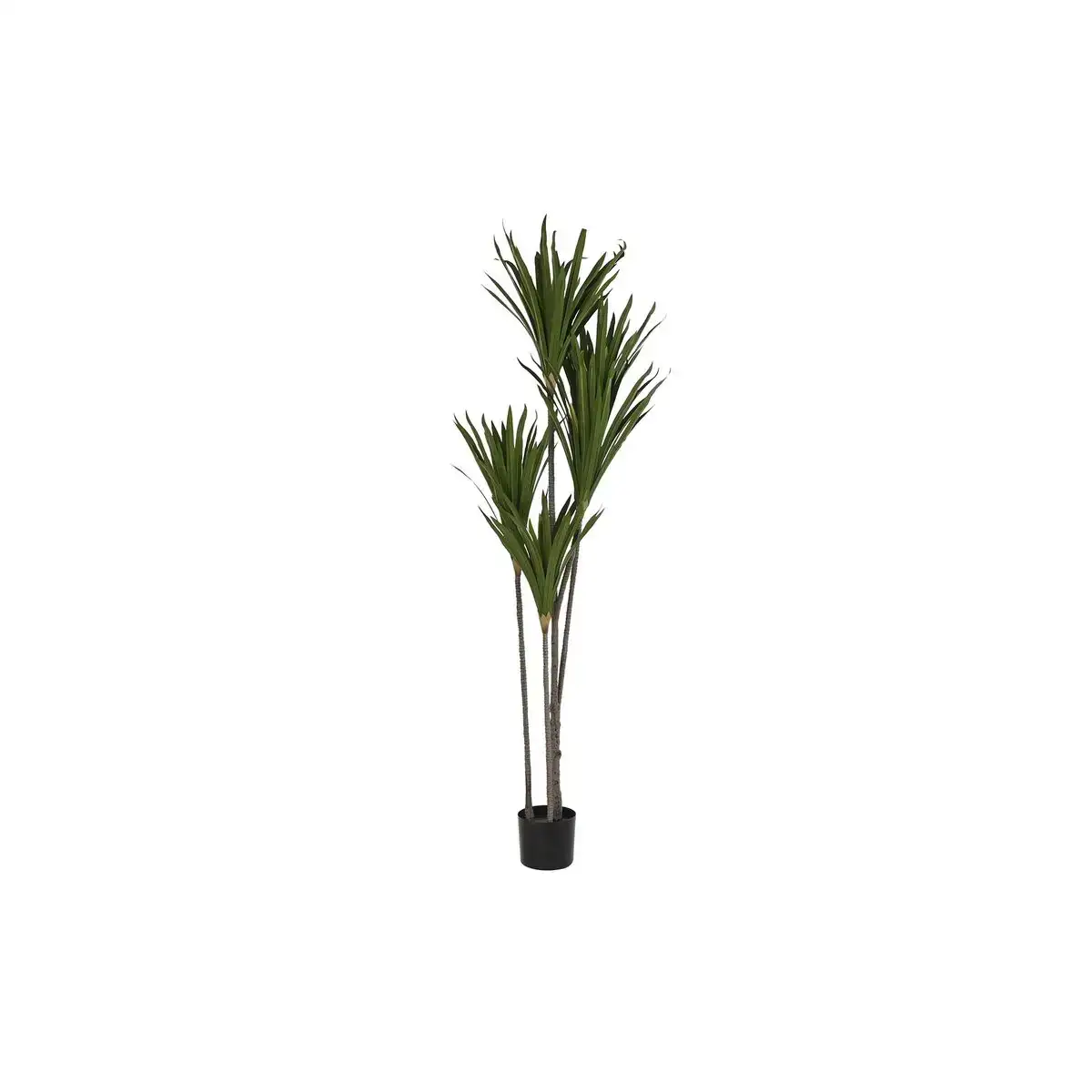 Plante decorative dkd home decor 80 x 80 x 180 cm _9591. DIAYTAR COTE D'IVOIRE - L'Art de Choisir, l'Art de Vivre. Explorez notre univers de produits soigneusement sélectionnés pour vous offrir une expérience shopping riche et gratifiante.