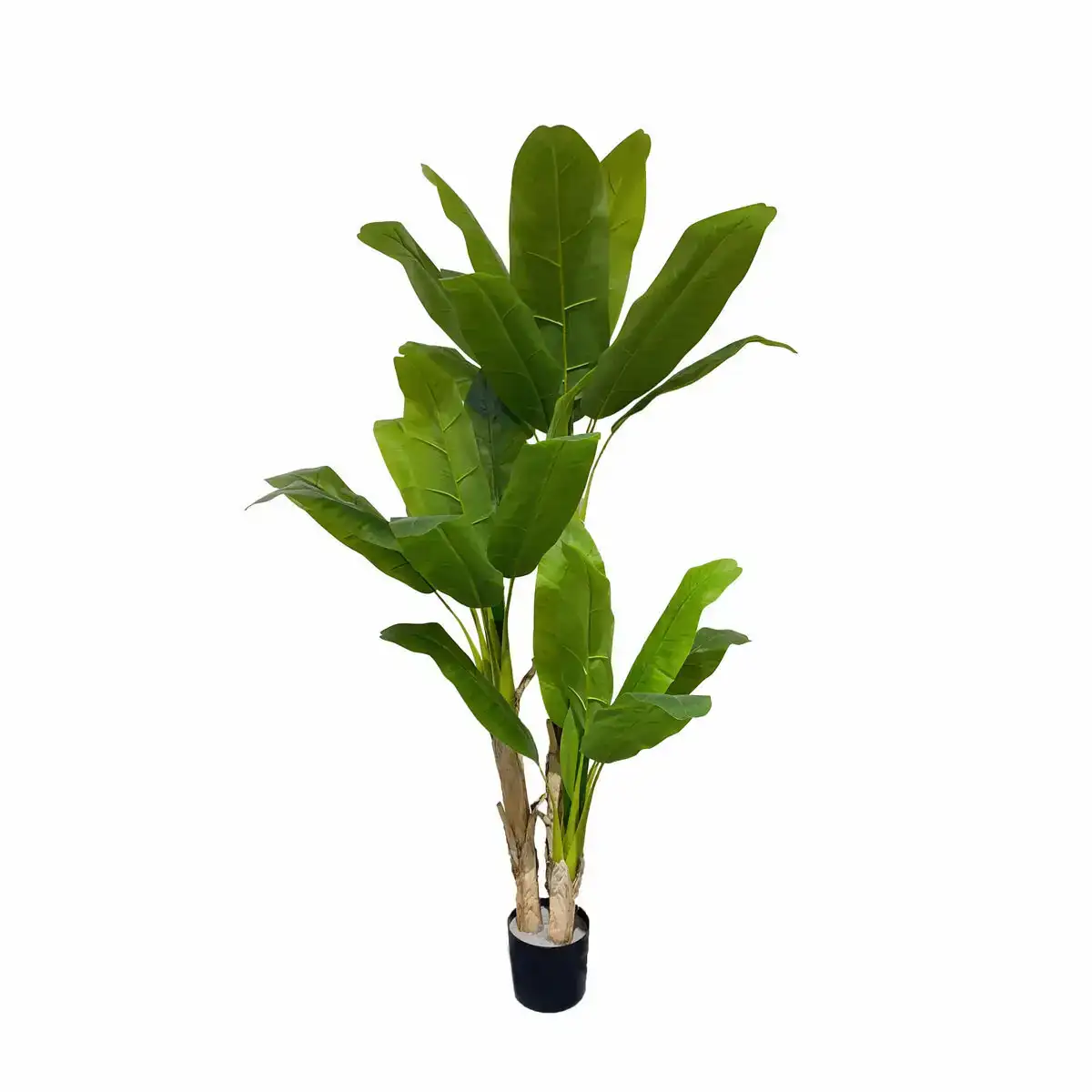 Plante decorative dkd home decor 90 x 90 x 200 cm vert polypropylene tropical palmier_1074. DIAYTAR COTE D'IVOIRE - Là où Vos Rêves Prendent Forme. Plongez dans notre catalogue diversifié et trouvez des produits qui enrichiront votre quotidien, du pratique à l'exceptionnel.