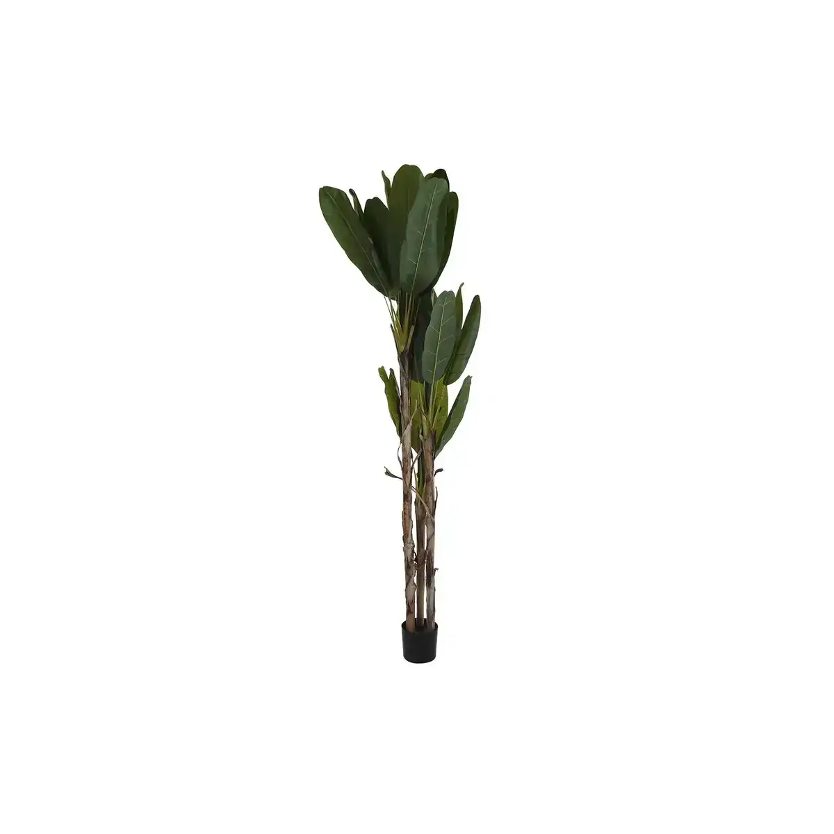 Plante decorative dkd home decor bananiere 90 x 90 x 250 cm _5574. DIAYTAR COTE D'IVOIRE - Où la Mode et le Confort se Rencontrent. Plongez dans notre univers de produits et trouvez des articles qui vous habillent avec style et aisance.