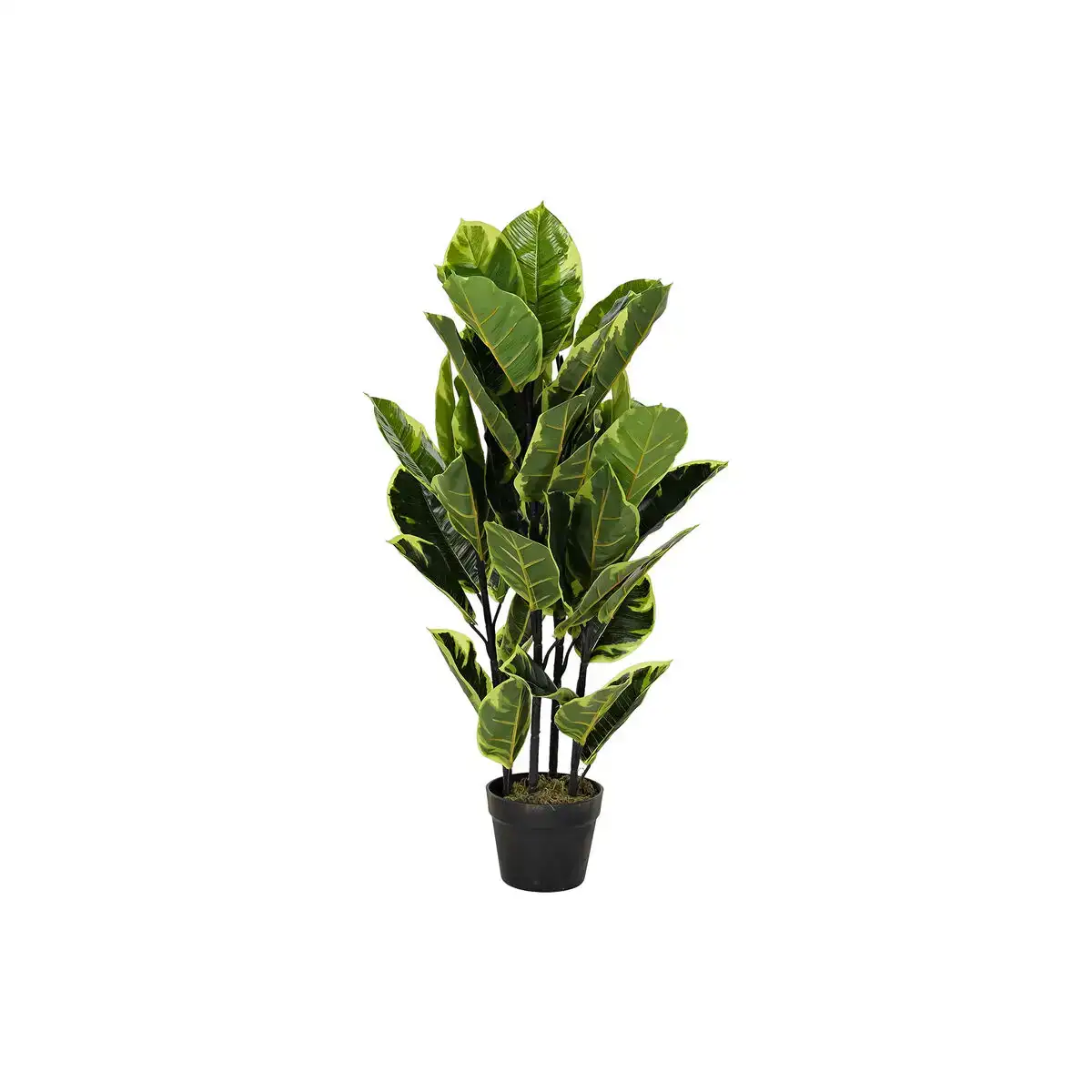 Plante decorative dkd home decor polyethylene urbaine 40 x 40 x 90 cm_2515. DIAYTAR COTE D'IVOIRE - Votre Plateforme pour un Shopping Inspiré. Explorez nos offres variées et découvrez des articles qui stimulent votre créativité et embellissent votre vie.