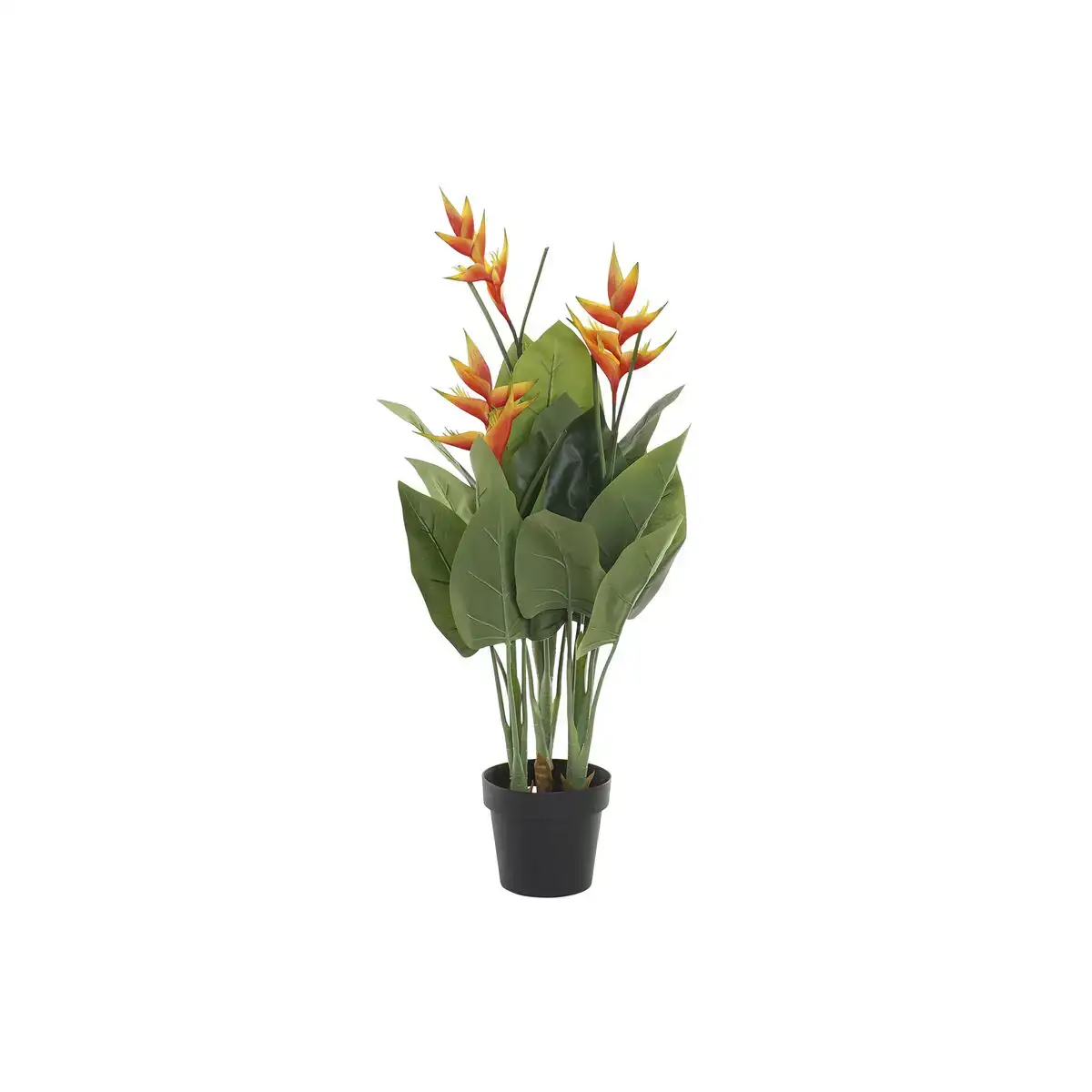 Plante decorative dkd home decor polypropylene ciment oiseaux de paradis tropical 70 x 45 x 120 cm_1142. Bienvenue chez DIAYTAR COTE D'IVOIRE - Où le Shopping Devient un Voyage. Explorez notre plateforme pour dénicher des produits uniques, racontant l'histoire et l'âme du Côte d'Ivoire.