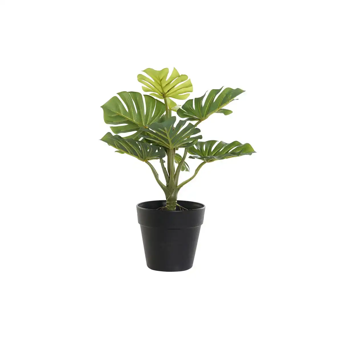 Plante decorative dkd home decor pvc polypropylene 20 x 20 x 30 cm_5810. DIAYTAR COTE D'IVOIRE - Votre Destination Shopping de Choix. Explorez notre boutique en ligne et découvrez des trésors qui reflètent votre style et votre passion pour l'authenticité.