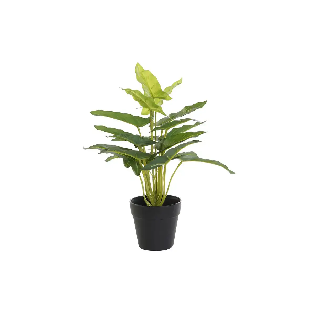 Plante decorative dkd home decor pvc polypropylene 25 x 25 x 30 cm_2563. DIAYTAR COTE D'IVOIRE - L'Art de Choisir, l'Art de Vivre. Parcourez notre boutique en ligne et découvrez des produits qui transforment chaque choix en une expérience enrichissante.