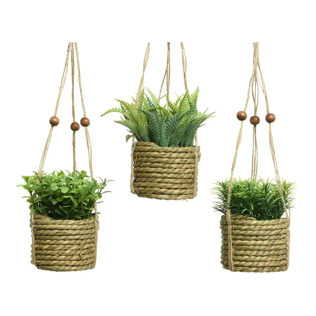 Plante decorative everlands 8 x 12 cm pendentif corde vert pvc_2354. Bienvenue chez DIAYTAR COTE D'IVOIRE - Où Chaque Achat Fait une Différence. Découvrez notre gamme de produits qui reflètent l'engagement envers la qualité et le respect de l'environnement.
