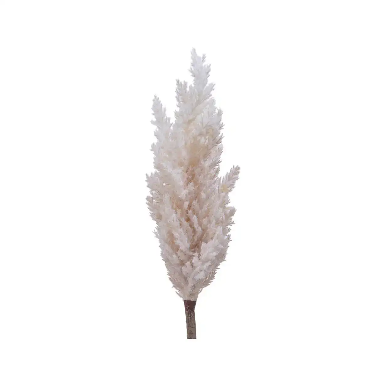 Plante decorative everlands herbe de la pampa o 9 x 90 cm _3079. DIAYTAR COTE D'IVOIRE - L'Art de Vivre l'Excellence au Quotidien. Explorez notre gamme et choisissez des produits qui ajoutent une note de prestige à votre vie.