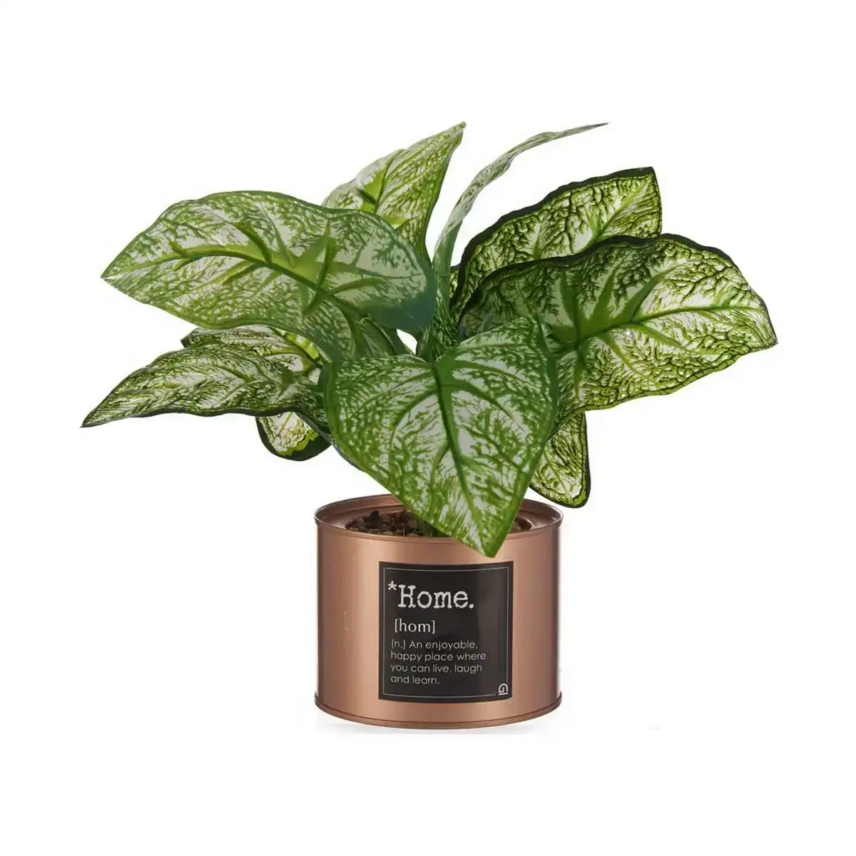 Plante decorative home cuivre cannette 26 x 26 x 26 cm metal vert plastique_5953. Bienvenue chez DIAYTAR COTE D'IVOIRE - Où le Shopping Rime avec Diversité. Plongez dans notre univers de produits et découvrez des trésors qui représentent la richesse culturelle du Côte d'Ivoire.